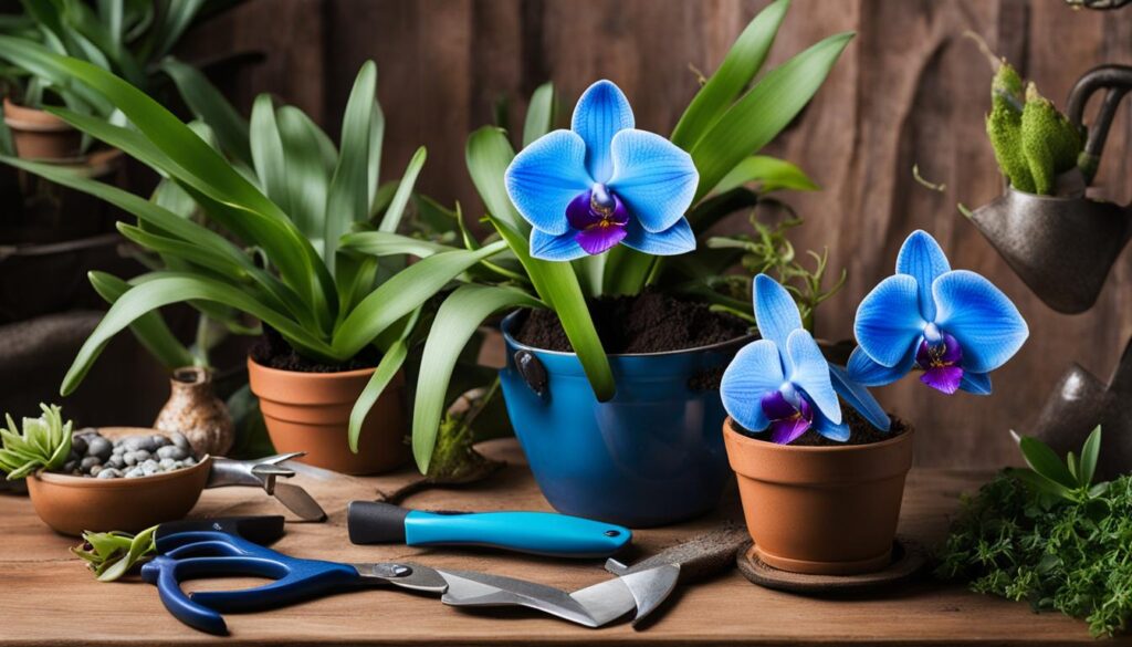 Blue Orchids Care Guide
